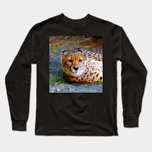 Cheetah relaxing Long Sleeve T-Shirt